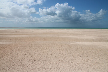 shell beach in western australia