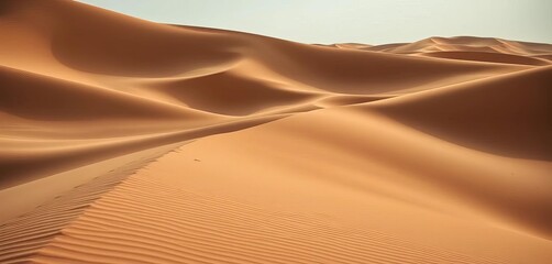A long, straight line cuts through rolling sand dunes, creating a stark contrast of textures and colors,  line,  texture