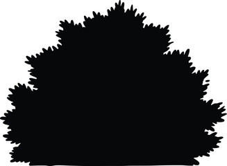 Vector succulent plant silhouette illustration for scalable graphic design projects