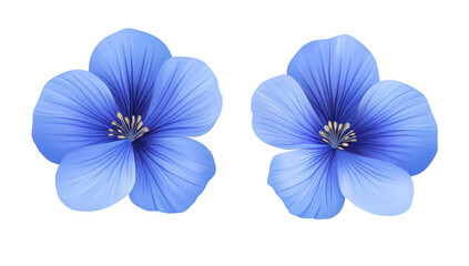A pair of blue flowers with intricate petal details. set against a clean white background. ideal for nature-themed designs. invitations. or botanical illustrations