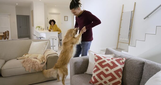 African American couple guiding dog pulling leash into playful sway and filming on phone at home