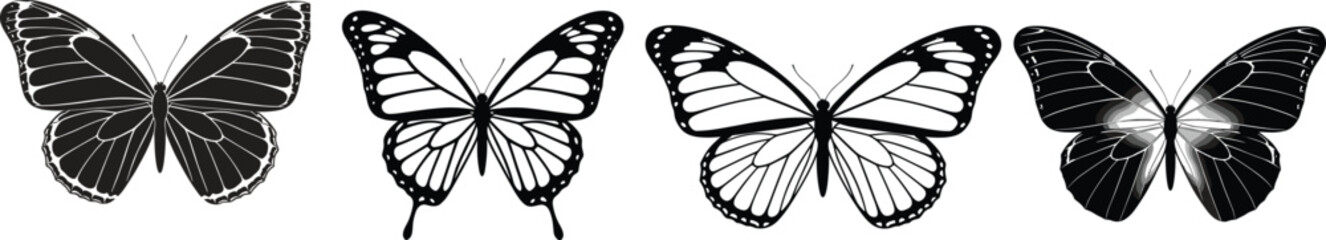 Butterfly illustrations in diverse wing styles—symmetrical, spotted, outlined, gradient—black and white vector artwork, nature, insect, flight, beauty, design