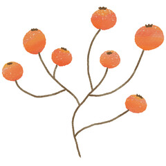 Red Berries Branch Illustration, Hand Drawn Botanical Element