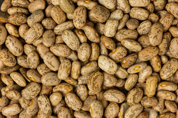Pinto Beans Pile Close-up Background