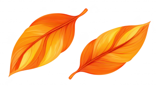 Two orange and yellow autumn leaves gracefully arranged on a clean white background. intricate vein patterns and textures. ideal for seasonal designs or nature-themed projects