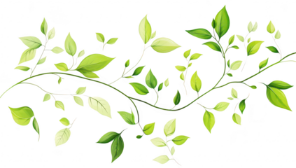 A and intricate illustration of various green leaves and vines gracefully intertwining against a clean white background. ideal for nature-themed designs or eco-friendly projects