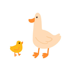 Mother duck standing with duckling simple flat illustration isolated on white. Domestic birds with orange beaks and legs. Great for kids content, nursery prints, farm and animal themes