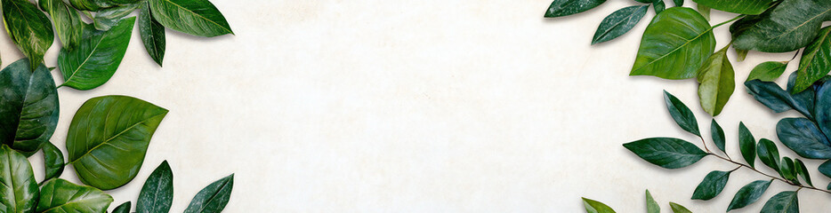 Lush Greenery and Calming Blue Backgrounds with Framed Plants, Perfect for Nature-Inspired Banners, Templates, and Advertising