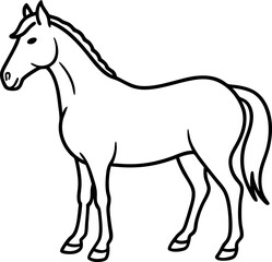 Minimal line drawing of horse used in rural wedding isolated vector, Traditional wedding animal illustration, Black horse silhouette, Heritage ceremonial horse vector artwork