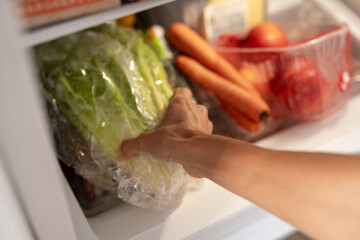 Close-up of female hand taking fresh lettuce from refrigerator drawer with vegetables