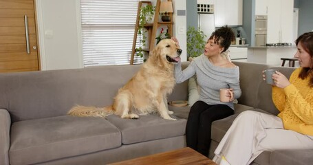 Chatting over coffee, diverse female friends petting golden retriever on gray couch in living room - Powered by Adobe