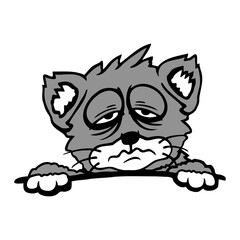 Cat Pet Tired Behind Fence Bag Sleepy Exhausted Sad