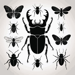  Detailed Black Insect and Bug Icons Set