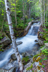 Smooth waterfall over rocks and concrete in lush forest with vibrant green foliage. Forest waterfall over concrete steps surrounded by vibrant green trees and mossy rocks. 