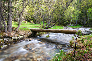 Serene forest stream with a rustic log bridge under lush spring greenery. Peaceful forest stream with log bridge and vibrant greenery in spring light. River in the forest. 