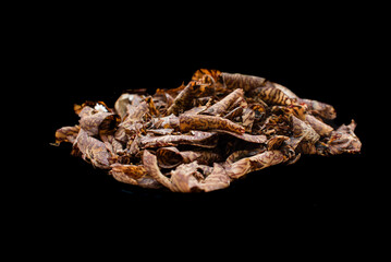 Betelnut slices collection isolated on black background.