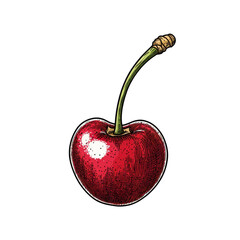 Vintage Engraving of a Stunning Surinam Cherry with Detailed Botanical Style, isolated on transparent background.