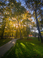 Path in a park with trees and a building in the background