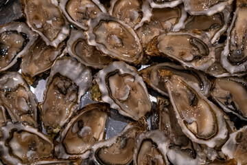 Détail d'un plat d'huîtres