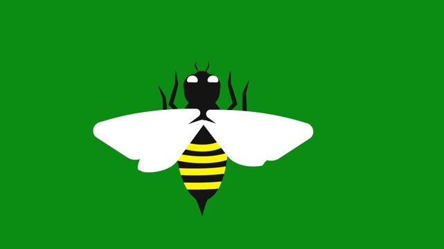 Flyng Bee Animation in green screen. cartoon bumblebee for overlay