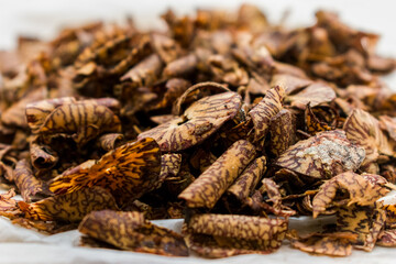 Close-up shot of areca nut pieces, arranged on a white background, showcasing their intricate patterns.  India.
