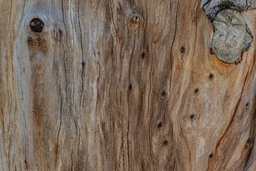 old wood background close up	
