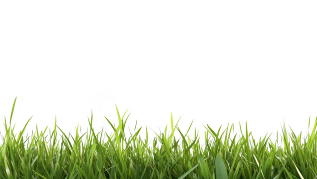 Lush green grass with blades swaying gently in a bright. sunlit environment. creating a serene and refreshing atmosphere. ideal for nature-themed projects or backgrounds
