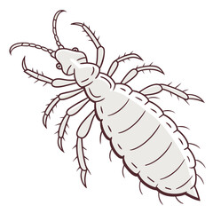 Naklejka premium Cartoon illustration of a louse insect with antennae and legs on white background Keywords: louse, insect