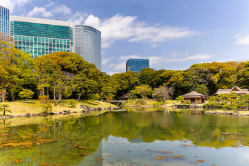 Modern city skyline of Tokyo contrasting with tranquil Japanese Garden.
