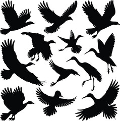 Obraz premium Vector art of silhouette of various birds flying, including ducks, geese, herons, and other waterfowl in different poses and angles