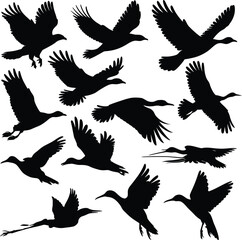 Vector art of silhouette of various birds flying, featuring ducks, geese, herons, and other waterfowl in different poses and angles