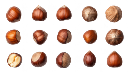 A close-up arrangement of hazelnuts their rich brown shells and varied textures. with a focus on one cracked nut revealing its creamy interior. ideal for culinary and food-related uses