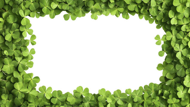 A vibrant. lush green border of clover leaves framing a blank white space. perfect for invitations. greeting cards. or seasonal promotions. with a natural outdoor feel