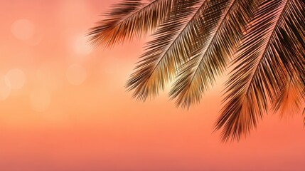 Fototapeta premium Green palm tree leaves against a warm blurred orange and pink bokeh background. Tropical vacation and summer holiday concept.