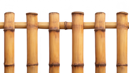 A close-up view of a bamboo fence the natural texture and color variations of the bamboo stalks. set against a clean white background. ideal for design and decor projects