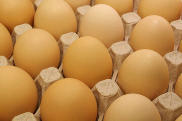 Fresh yellow chicken eggs in tray