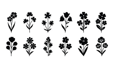 Elegant flower set silhouettes for creating romantic designs invitation and botanical illustrations
