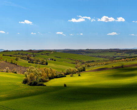 Scorci primaverili 