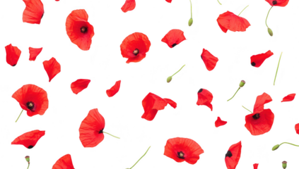 A arrangement of scattered red poppy petals on a clean white background. creating a serene and artistic atmosphere. ideal for use in nature-themed designs or floral arrangements