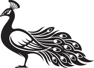 Black Silhouette of a Peacock with Elaborate Fanned Tail Feathers bird animal