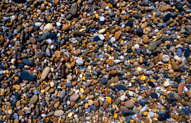 Colorful motif featuring wet thousands of pebbles on the beach of the Portuguese Atlantic coast near Porto. Minerals such as quartz, granite, and sandstone, rounded and eroded by the surf and currents