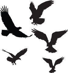 silhouettes of birds