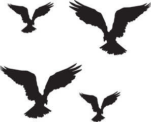 set of vector birds