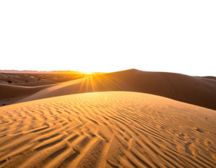 Golden desert dunes bathed in the warm light of a sunrise, displaying intricate patterns of wind-carved sand.