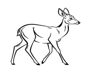 Graceful Deer Wandering Through Misty Land