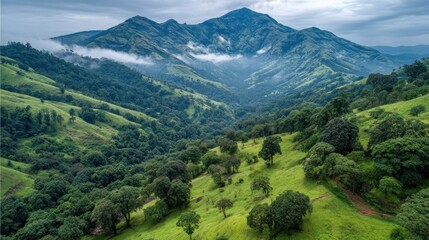 Fototapeta premium Lush green hillsides cascade down a valley, meeting a misty mountain range.