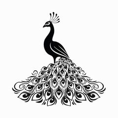 Majestic Peacock Silhouette