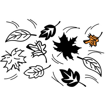 black and white floral background