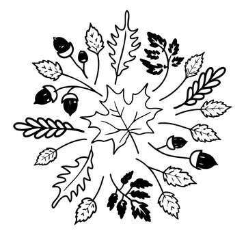 black and white floral background