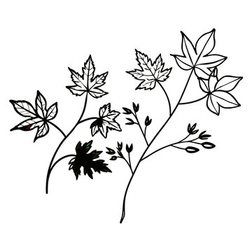 abstract floral background with leaves